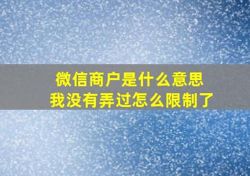 微信商户是什么意思 我没有弄过怎么限制了